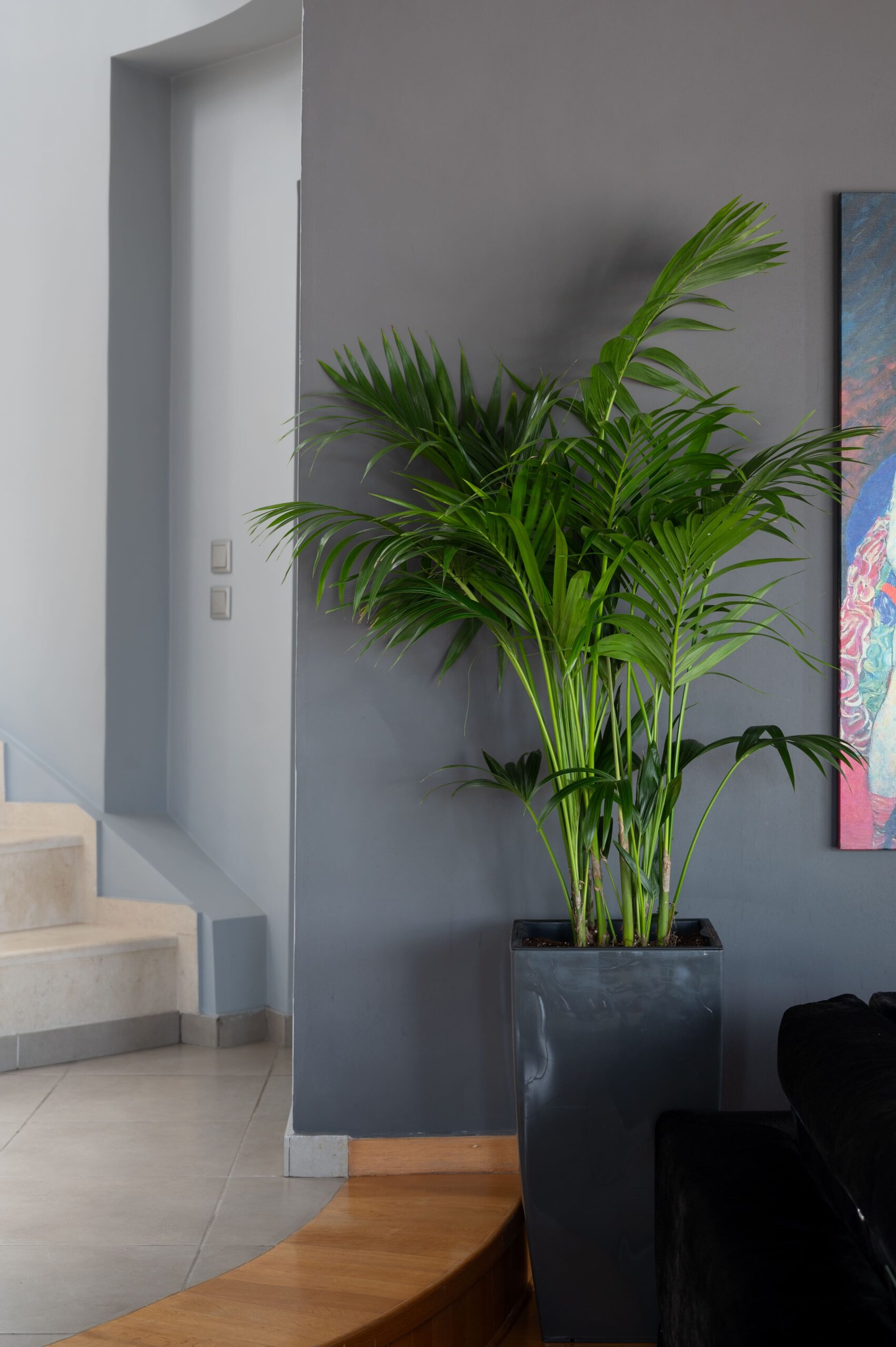 Green Design Details