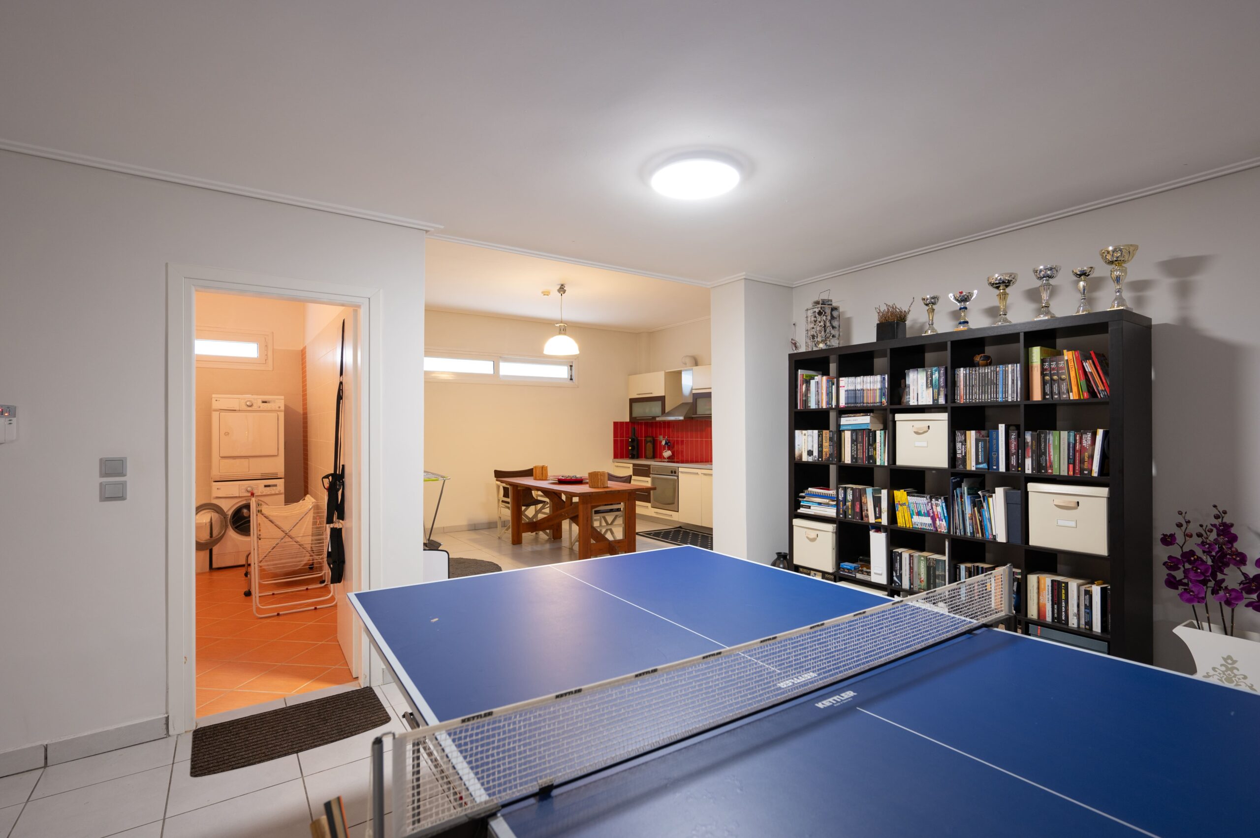 Entertainment Room